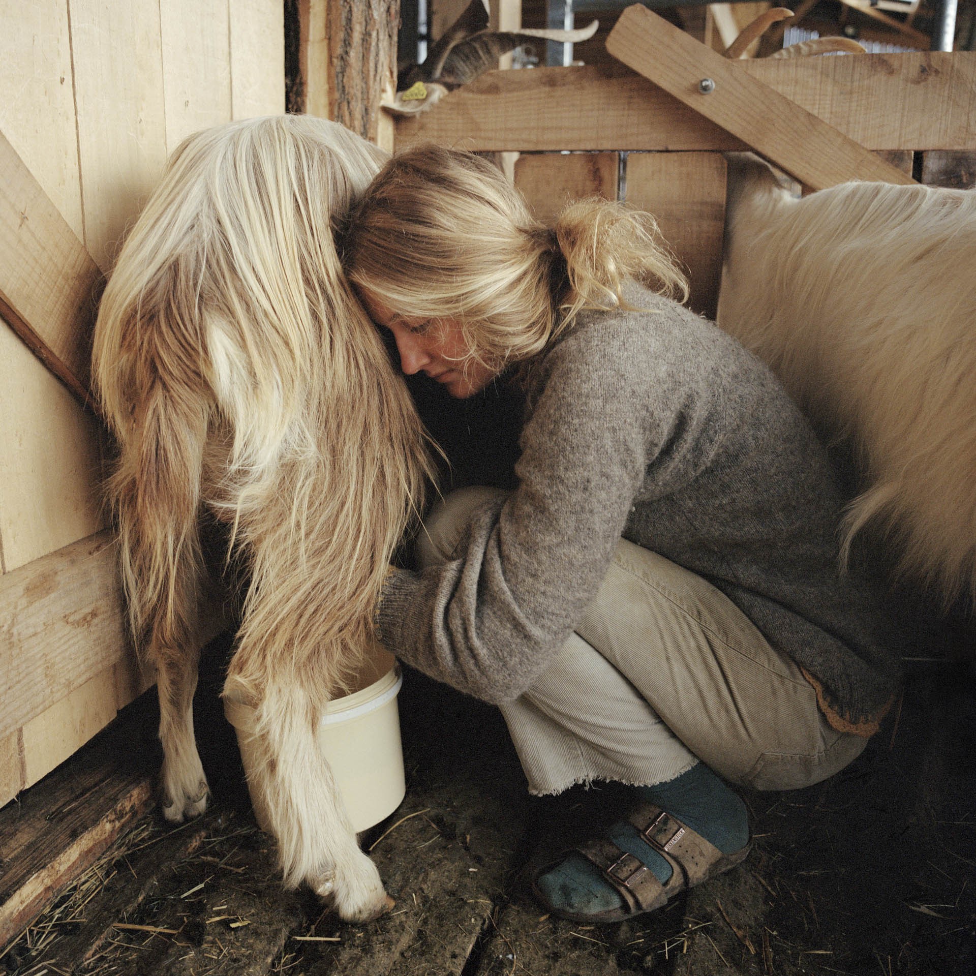 Le lien de la terre 11