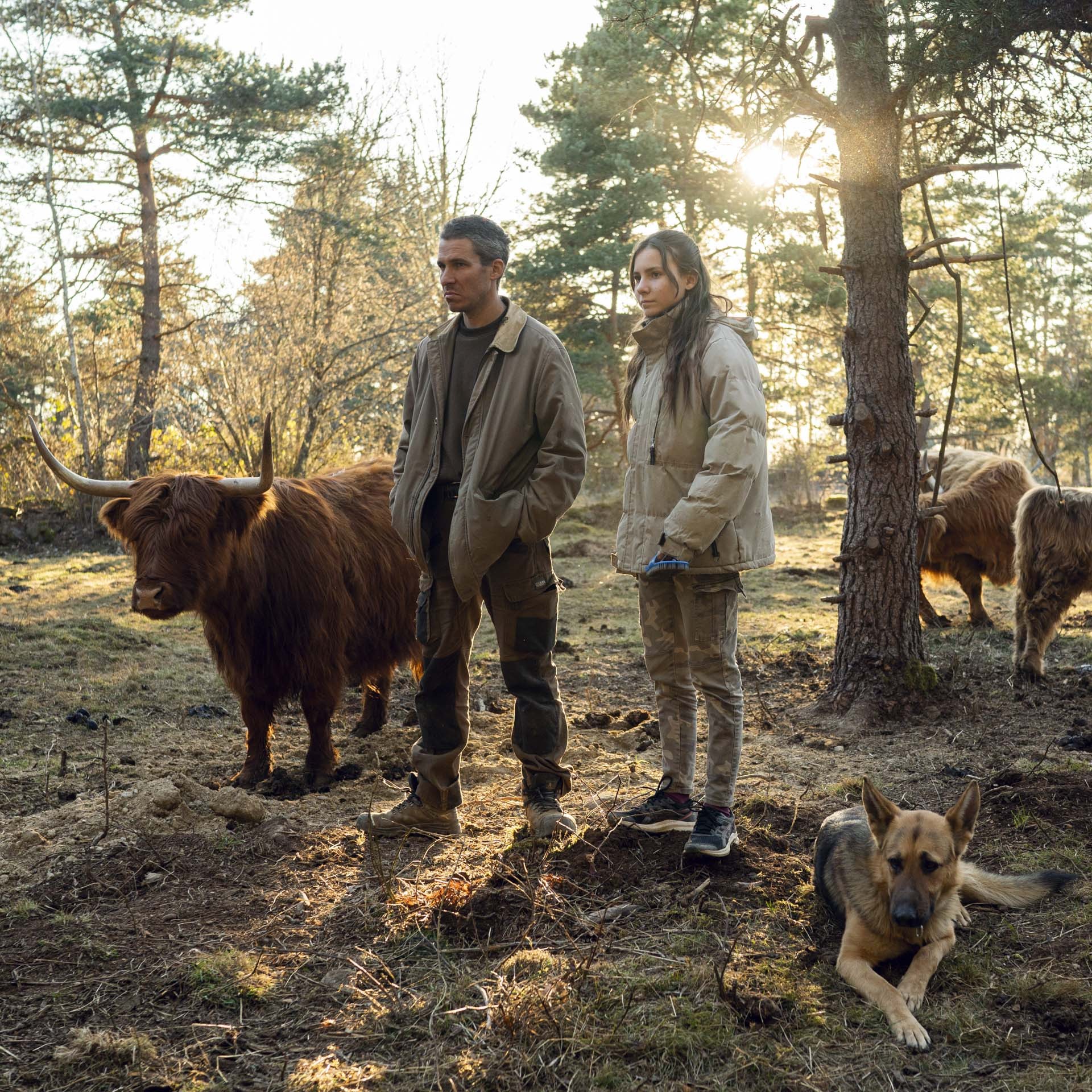 Le lien de la terre 12