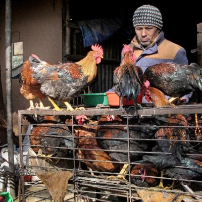 06 - Les hommes et les femmes au travail 