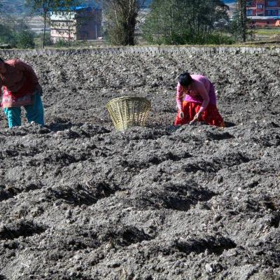 11 - Les hommes et les femmes au travail