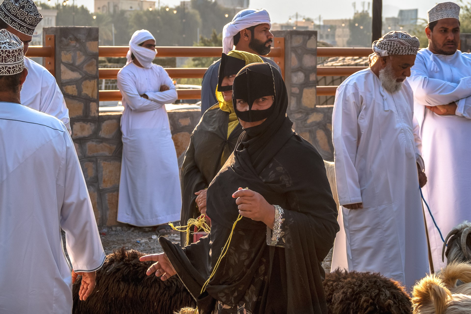 Marche aux chevres de nizwa 5 