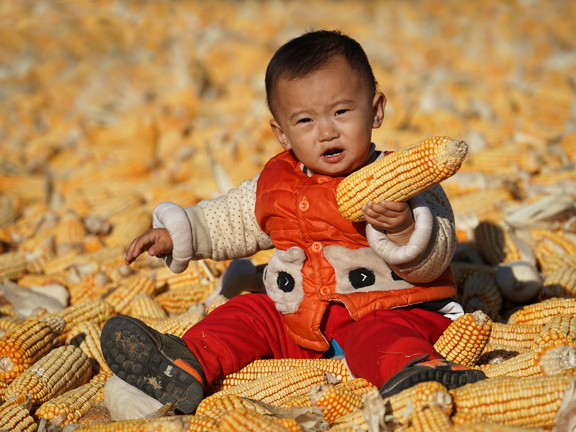 Nagy lajos between corns child
