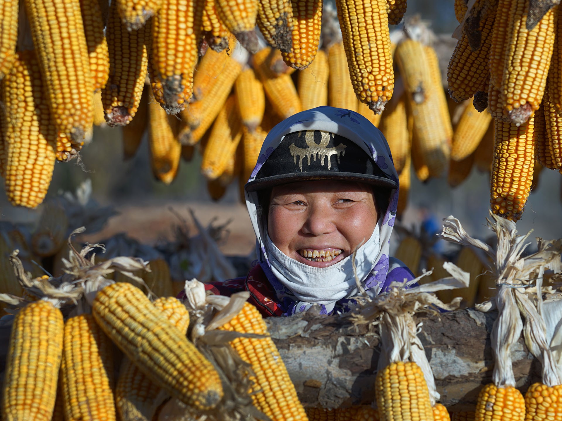 Nagy lajos between corns woman