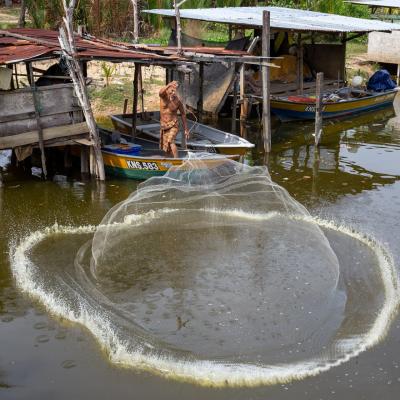 Nuances malaisiennes 13