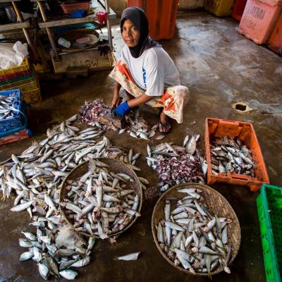 Nuances malaisiennes 14