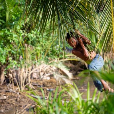 Nuances malaisiennes 15