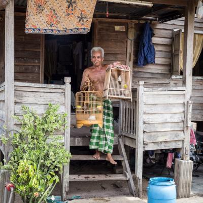 Nuances malaisiennes 3