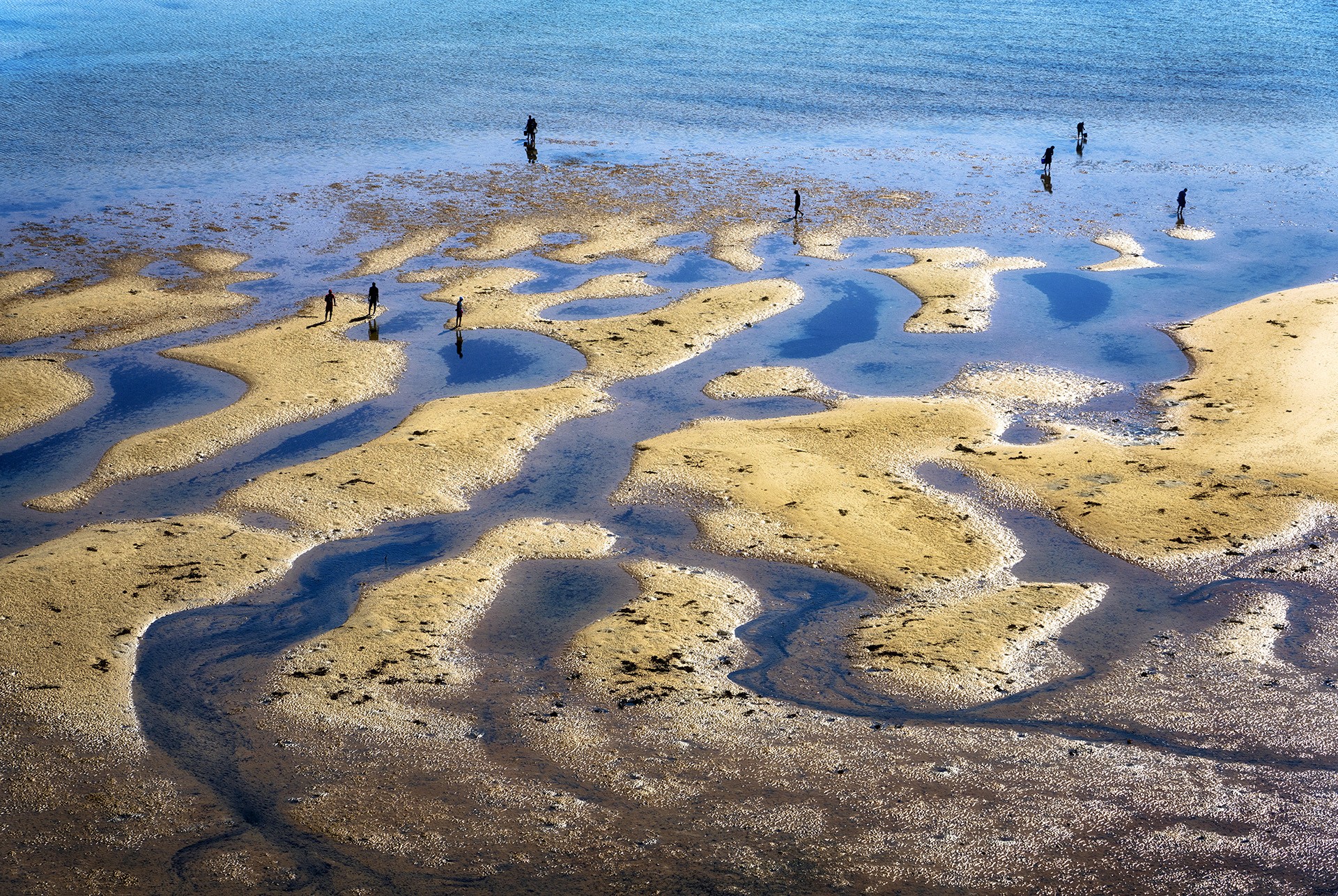 6 - Pêche au Mozambique