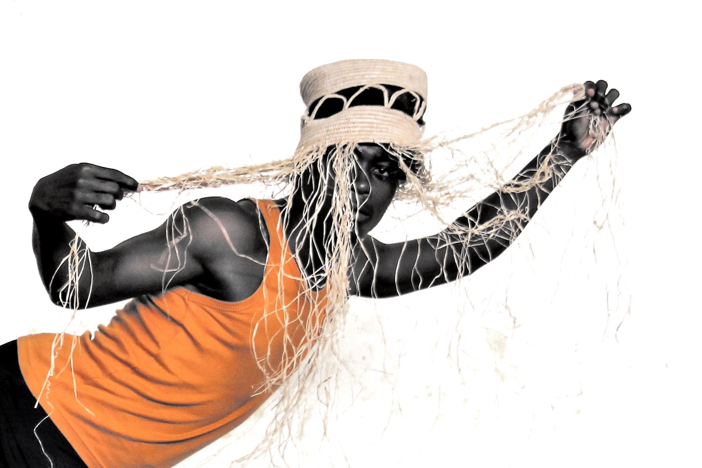 Stardust poussiere d etoiles 3 